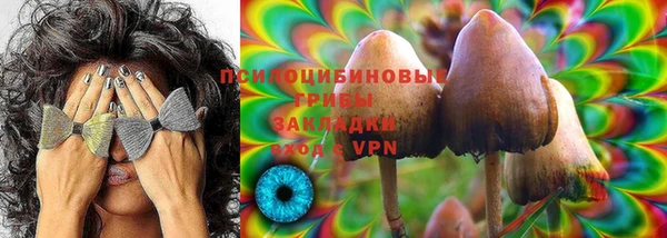 Альфа ПВП Нефтекумск