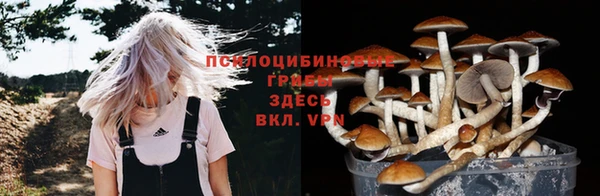 не бодяженный Нея