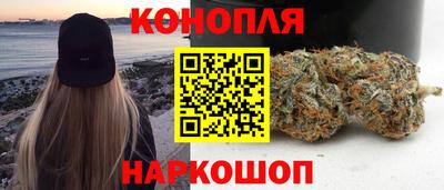 apvp Краснодар