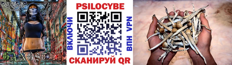 Галлюциногенные грибы Psilocybine cubensis  купить наркоту  Севастополь 