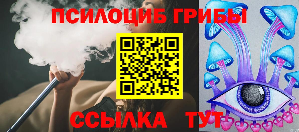 Псилоцибиновые грибы Psilocybe Севастополь